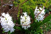 DSCF1738_R