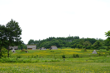 DSC02349_R