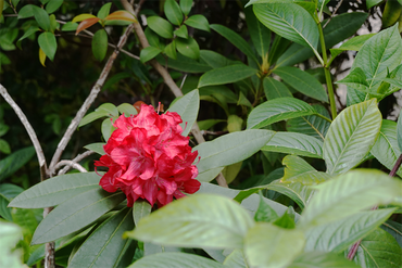 DSC06870_R