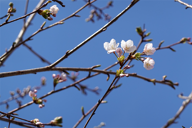 DSC00229 (1)_R