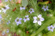 DSCF3456_R