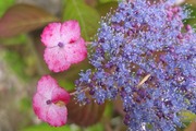 DSCF3039_R