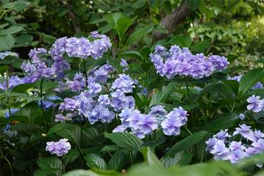 DSC08442_R