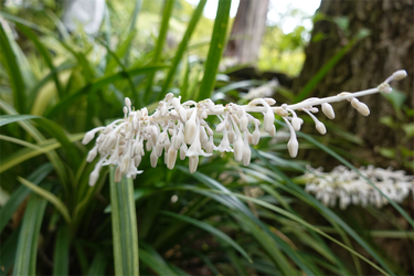 DSC09128_R