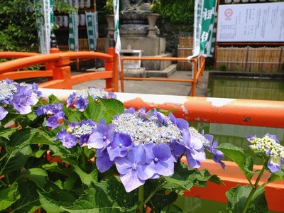 DSCF6603_R