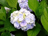 DSCF2270_R