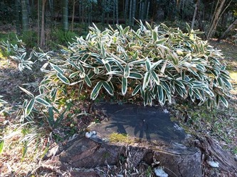 DSCF8435_R