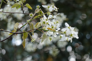 DSC06434_R