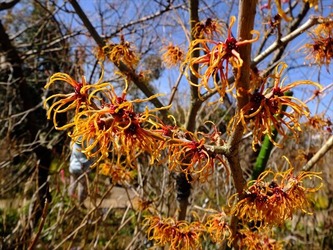 DSCF8290_R