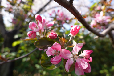 DSC06354_R
