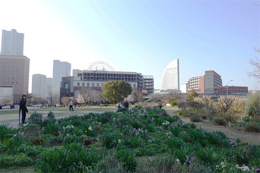 DSC00601_R