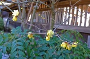 DSCF0760_R