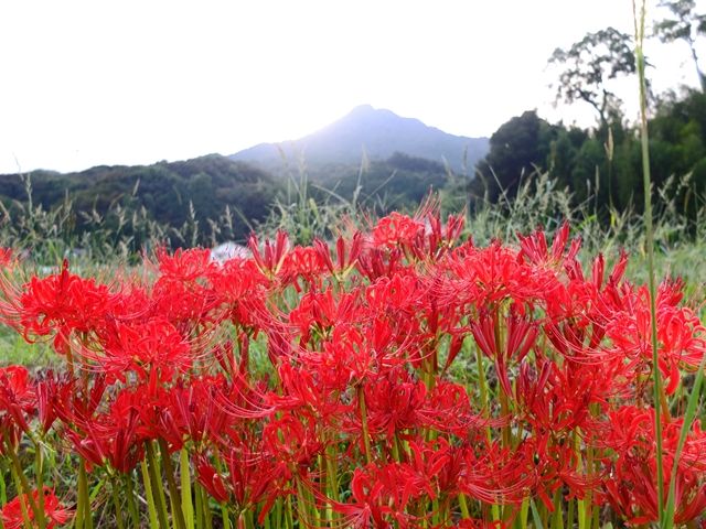 DSCF4022_R