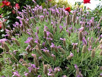 DSCF0079_R