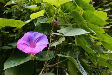 DSC08114_R