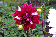 DSCF3674_R