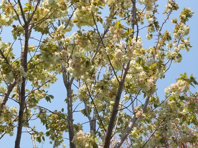 DSCF5572_R