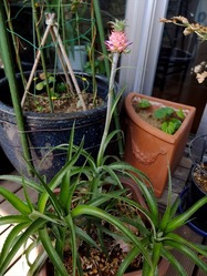 DSCF4365_R