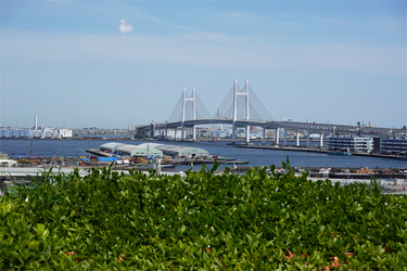 DSC07223_R