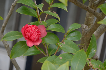 DSC05794_R