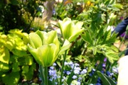 DSCF1024_R
