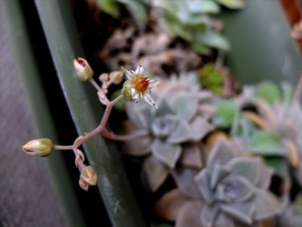 DSCF8857_R