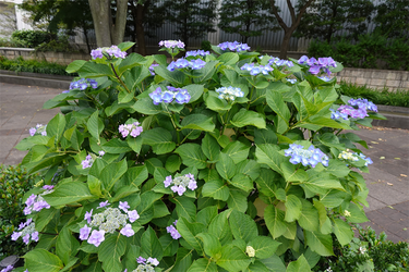 DSC08019_R