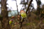 DSCF1159_R