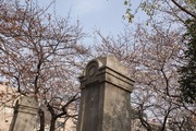 DSCF0349_R