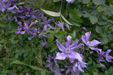 DSC02815_R