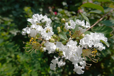 DSC08791_R