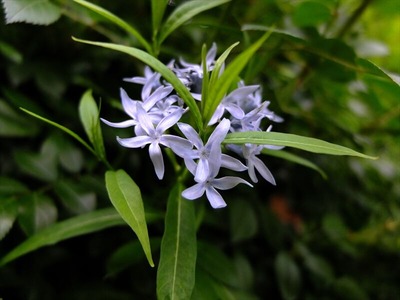 DSCF2459_R