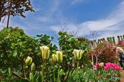DSCF2424_R