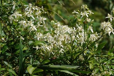 DSC09356_R