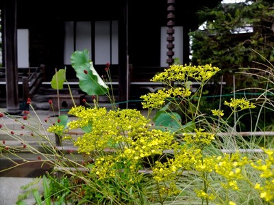 DSCF5365_R