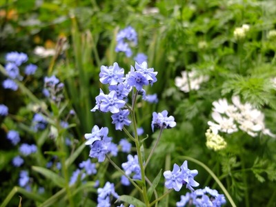 DSCF2554_R