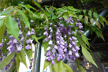 DSC06826_R