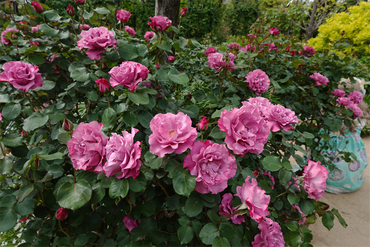DSC06840_R