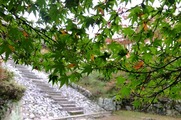 DSCF7714_R