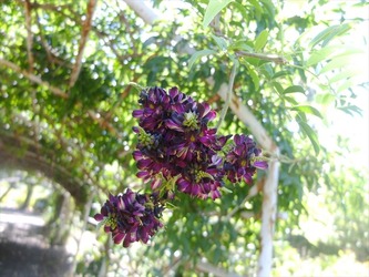 DSCF1442_R