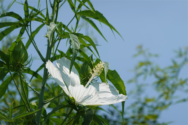 DSC08809_R