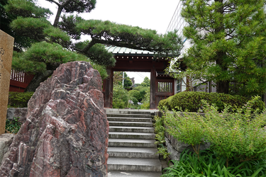 DSC08696_R