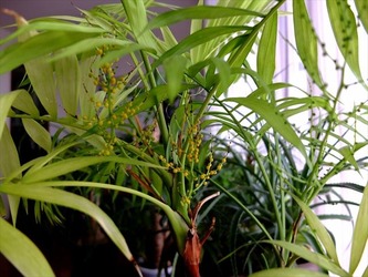 DSCF6845_R