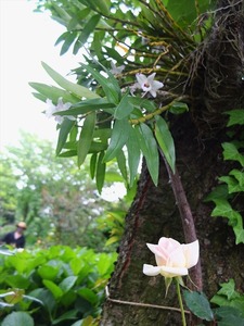 DSCF2567_R