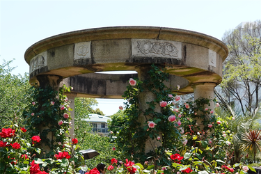 DSC07217 (1)_R