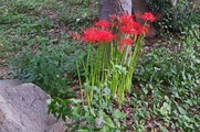 DSCF5280_R