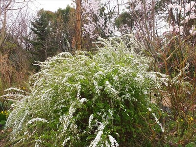 DSCF1391_R