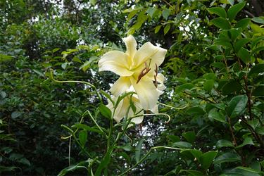 DSC08534_R