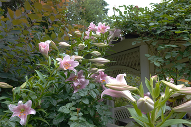 DSC08318_R