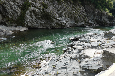 DSC09500_R